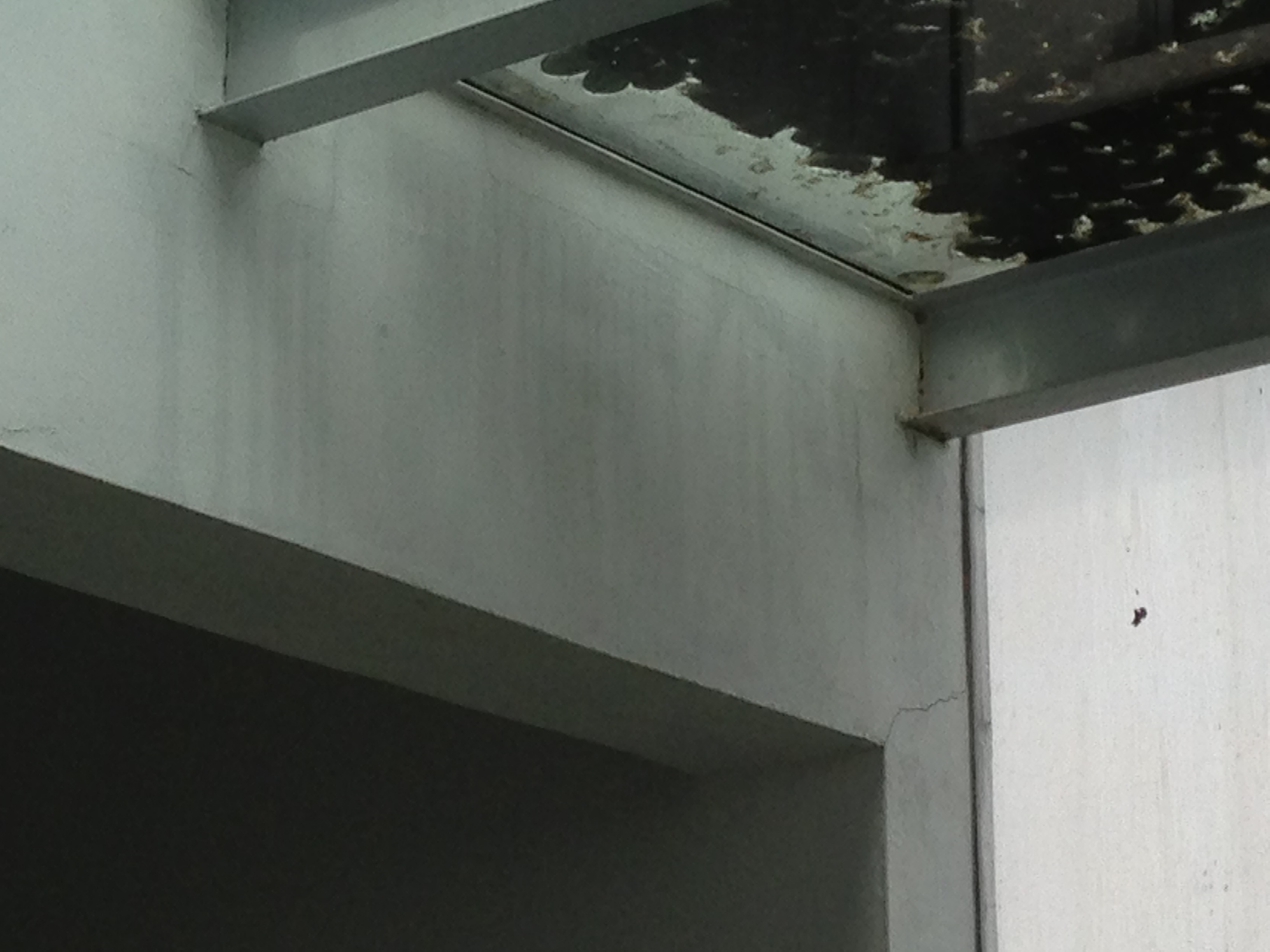 30. sky light glass roof leak. waterproof membrane, concrete & silicon failure..jpg